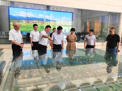 桐城市尋求與六國(guó)化工開(kāi)展產(chǎn)業(yè)合作