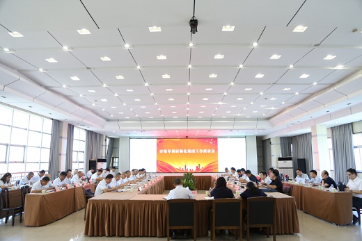 市領(lǐng)導調(diào)研銅化集團工作座談會召開